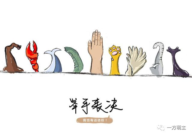 从“流浪”到“餐桌”鬼知道它们都经历了什么？