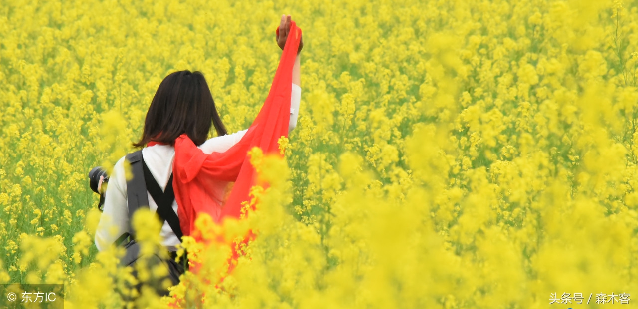 团费是交一辈子的吗,团费都是用来干嘛的