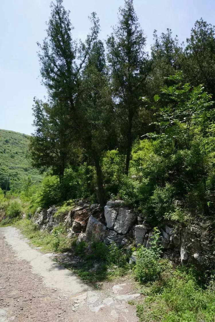 淄博淄川天晴湾户外唱歌,淄川龙泉天晴湾风景区