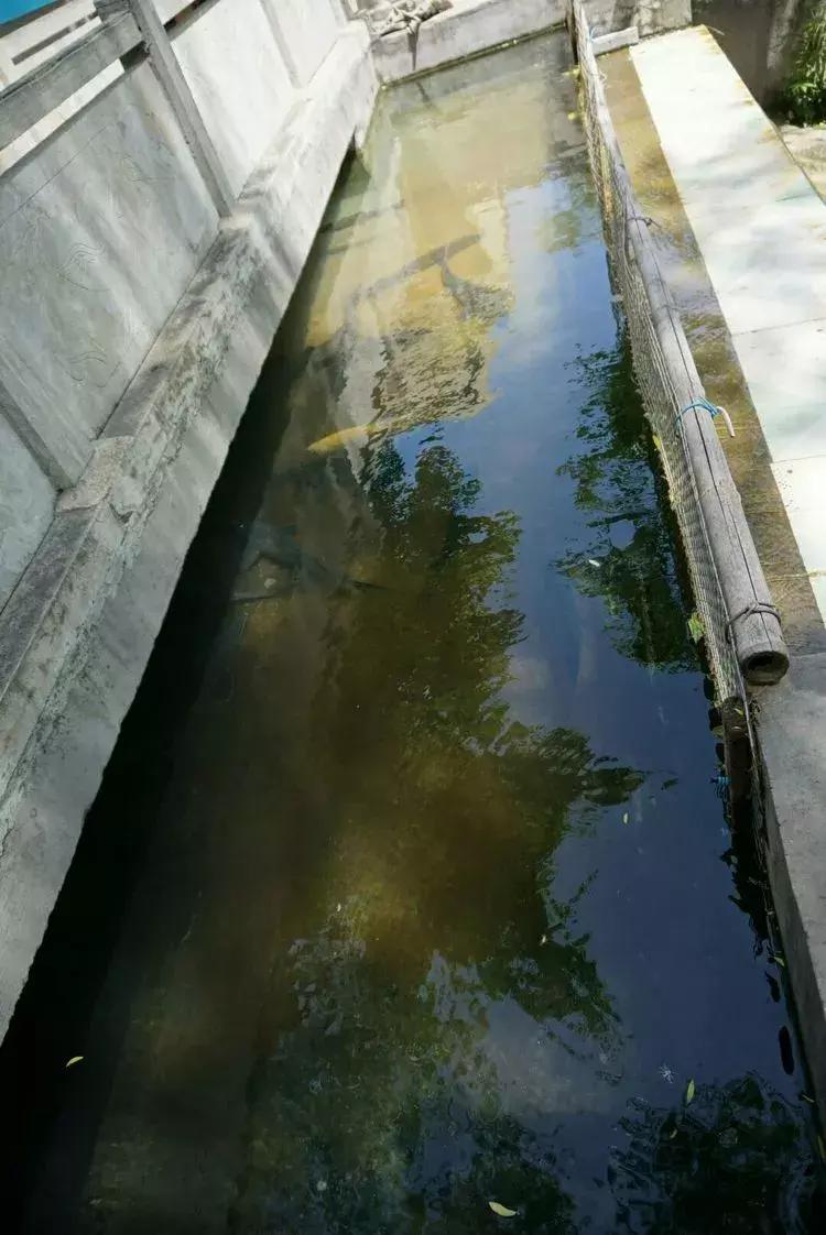 淄博淄川天晴湾户外唱歌,淄川龙泉天晴湾风景区