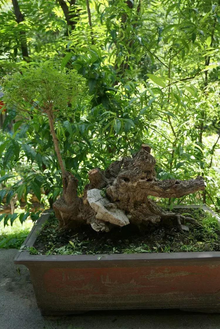 淄博淄川天晴湾户外唱歌,淄川龙泉天晴湾风景区