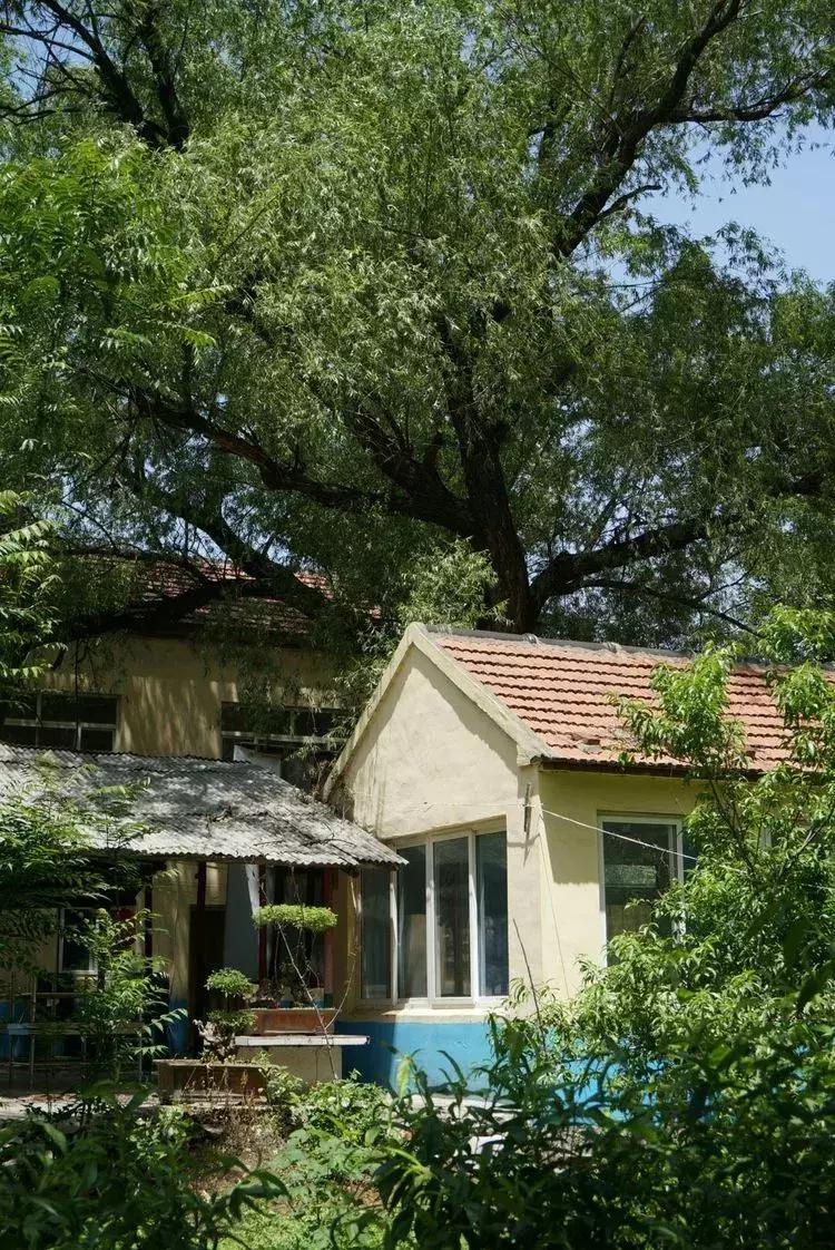 淄博淄川天晴湾户外唱歌,淄川龙泉天晴湾风景区