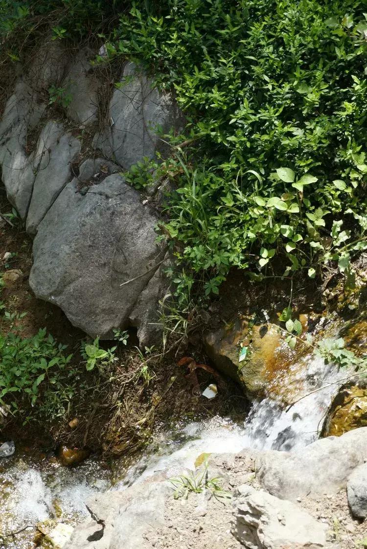 淄博淄川天晴湾户外唱歌,淄川龙泉天晴湾风景区