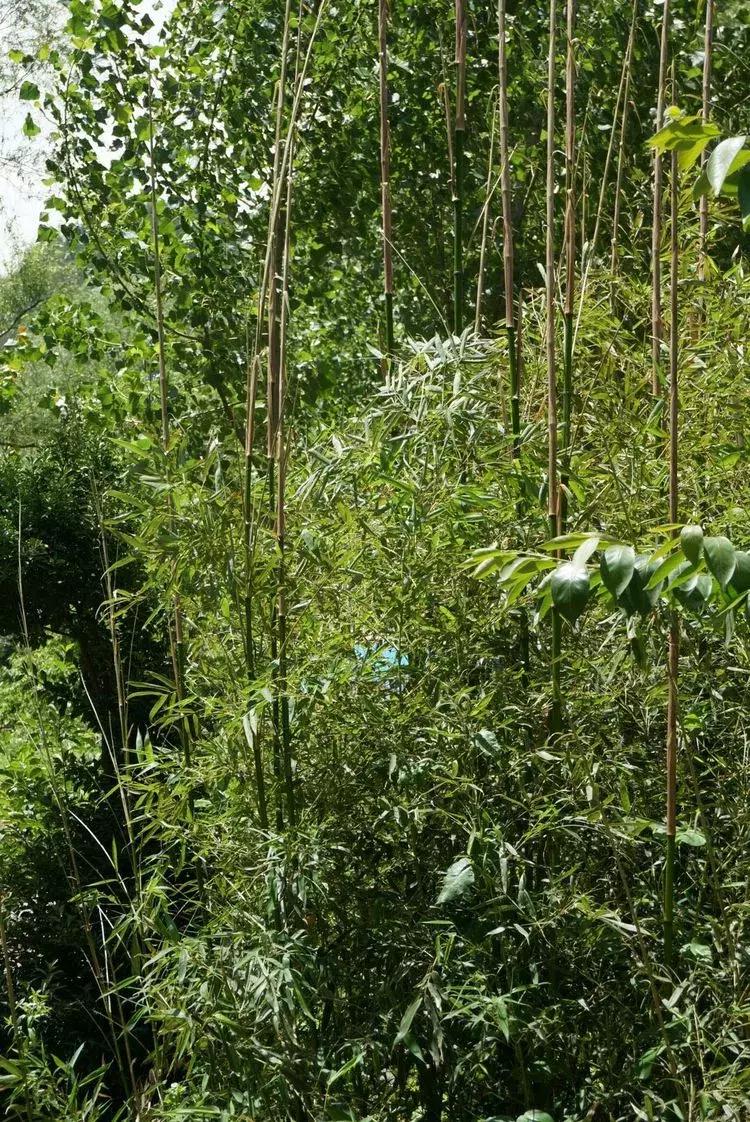 淄博淄川天晴湾户外唱歌,淄川龙泉天晴湾风景区