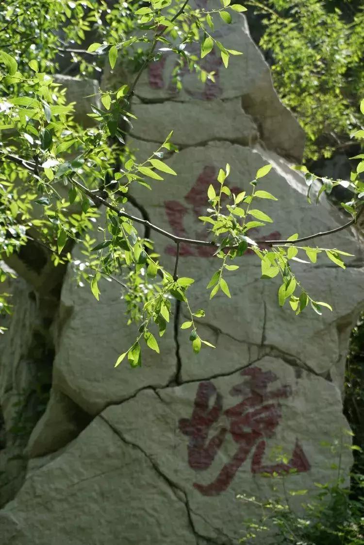 淄博淄川天晴湾户外唱歌,淄川龙泉天晴湾风景区