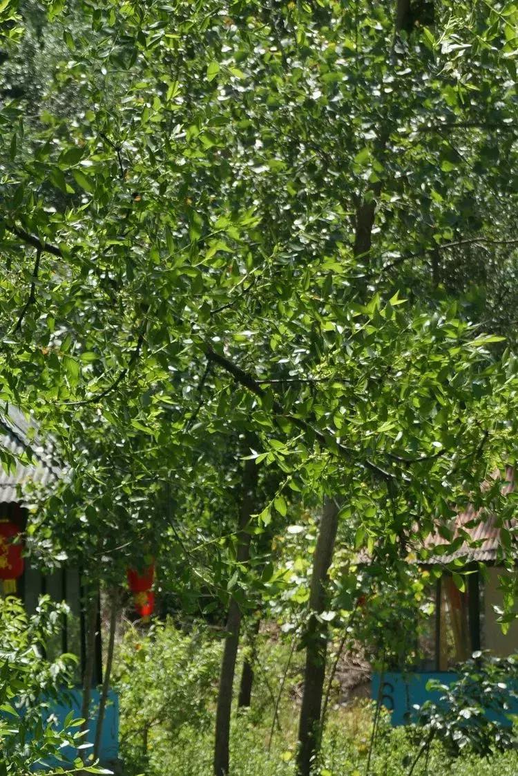 淄博淄川天晴湾户外唱歌,淄川龙泉天晴湾风景区