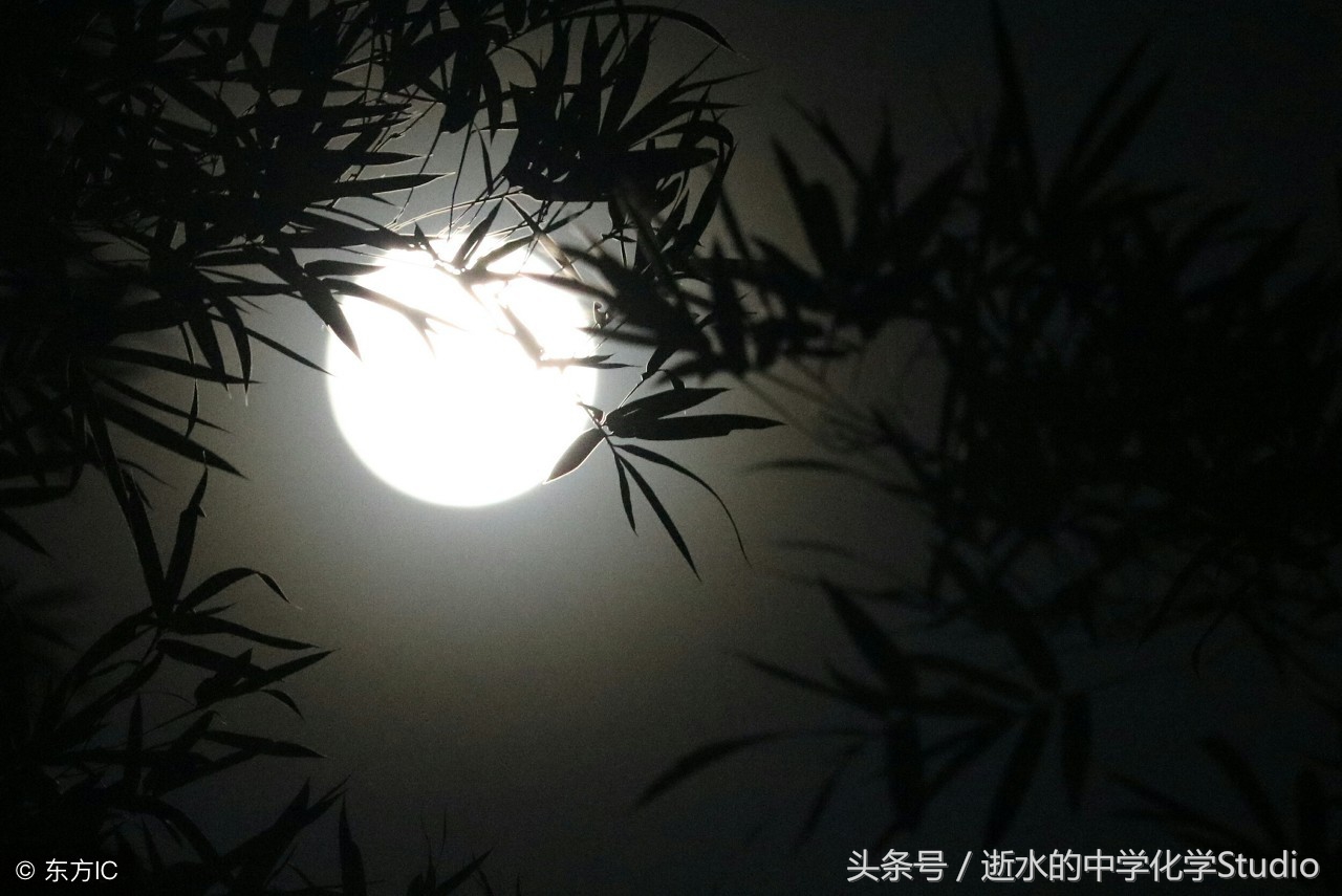 我与高中有个约定作文,初中作文我和青春有个约定