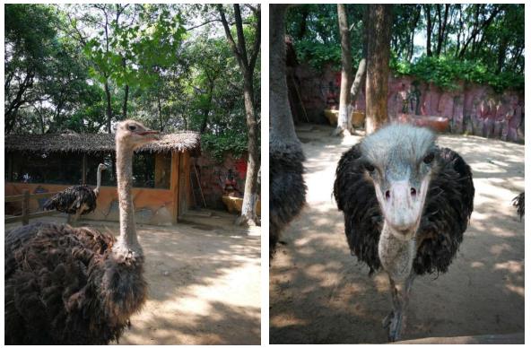 武汉春天周末带孩子玩攻略,这个季节武汉哪里适合带孩子去玩