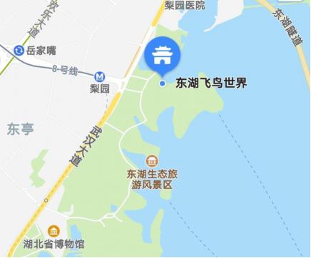 武汉春天周末带孩子玩攻略,这个季节武汉哪里适合带孩子去玩