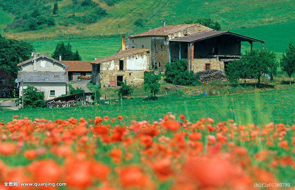 小学语文三年级期末试卷,人教版三年级语文下册大汇总复习