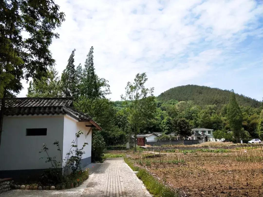 我去了成都向西50里的桃源村,朋友问我是不是去了日本?