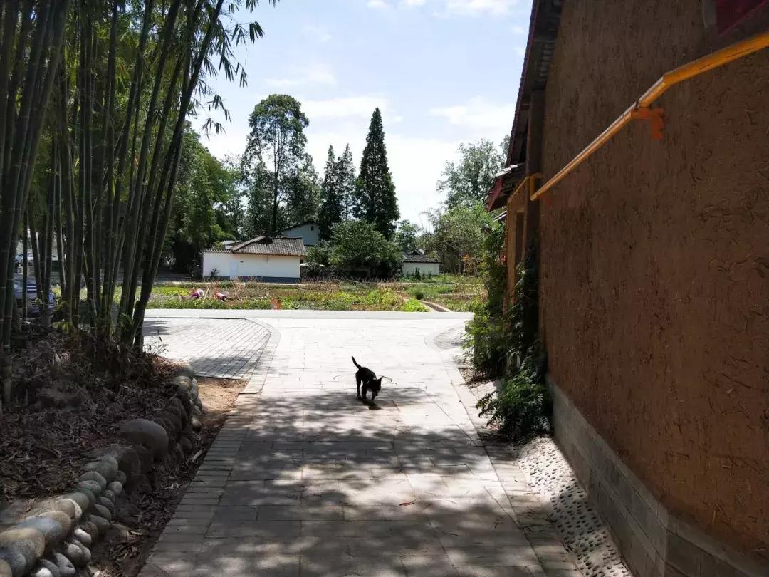 我去了成都向西50里的桃源村,朋友问我是不是去了日本?