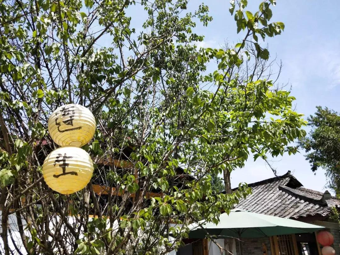 我去了成都向西50里的桃源村,朋友问我是不是去了日本?