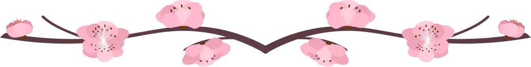 清甜爽脆的台湾甜桃已开采摘啦！30元任摘任吃！速度约起来！