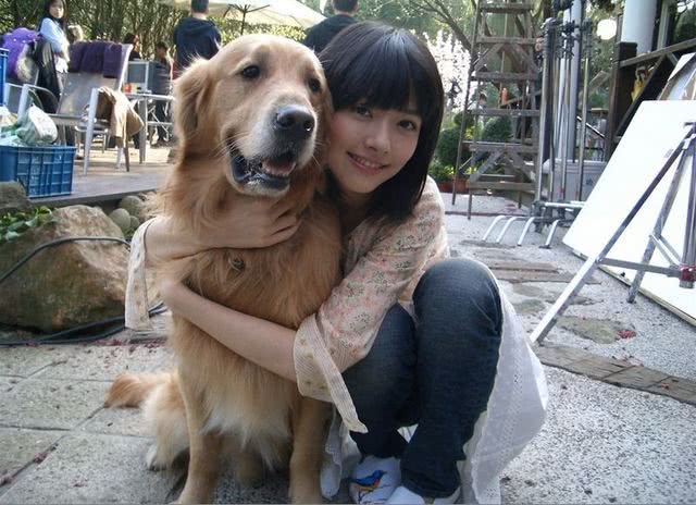 第一次养狗狗什么狗狗好养,适合情侣养的狗中型犬