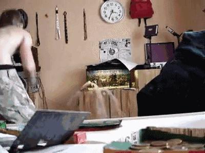 鱼缸爆裂预兆,鱼缸爆裂修复方法