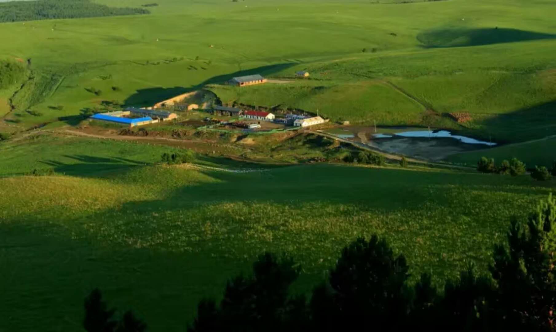 成都呼伦贝尔七日游价格,呼伦贝尔七日行攻略