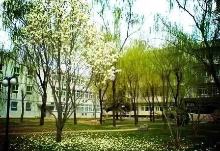 中国最小大学,是*安门天**广场的1/8,全校都是熟人,小规模大视野