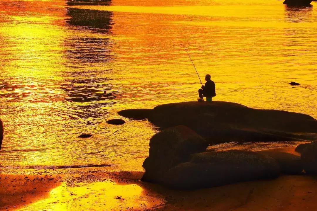 厦门旅游攻略三天最佳时间自由行,厦门旅游攻略三天两夜厦门很美