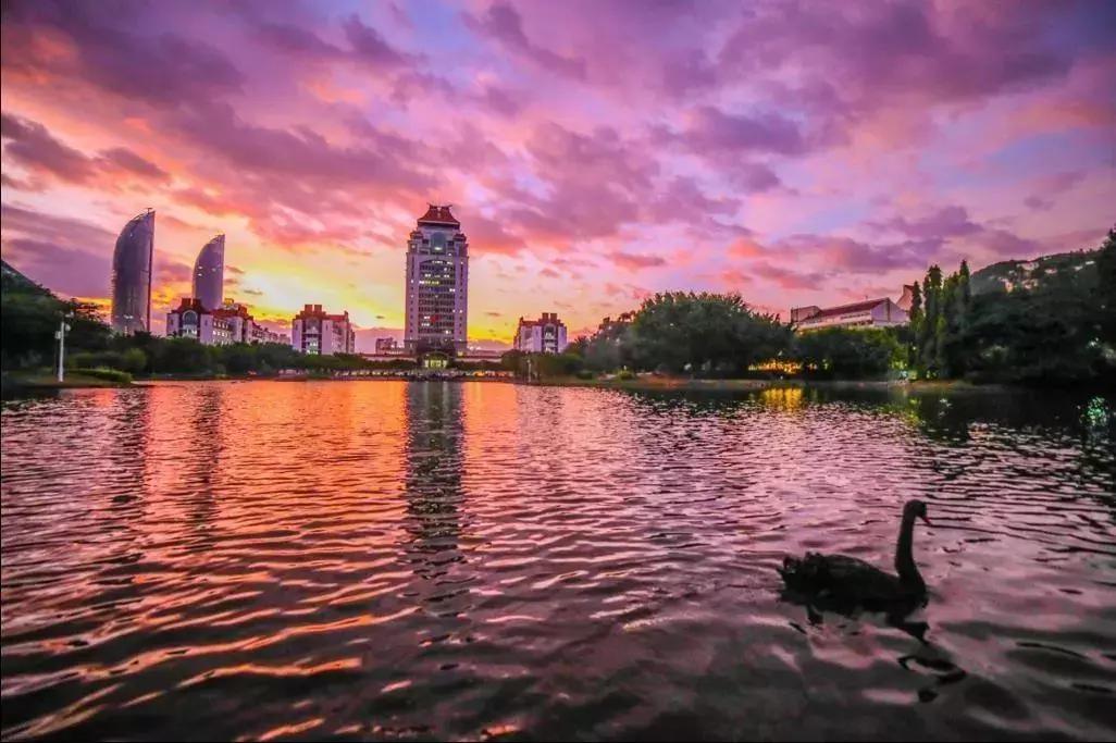 厦门旅游攻略三天最佳时间自由行,厦门旅游攻略三天两夜厦门很美