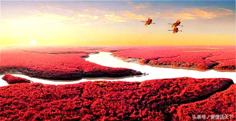 歪果仁眼中中印,歪果仁看红海行动