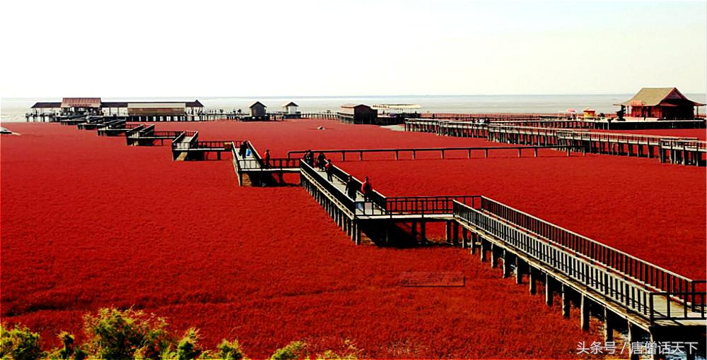 歪果仁眼中中印,歪果仁看红海行动