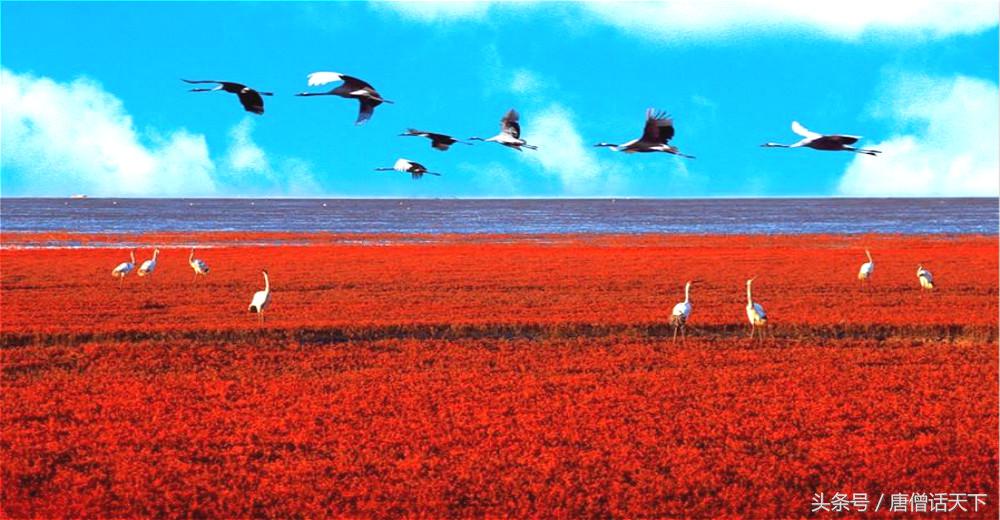 歪果仁眼中中印,歪果仁看红海行动