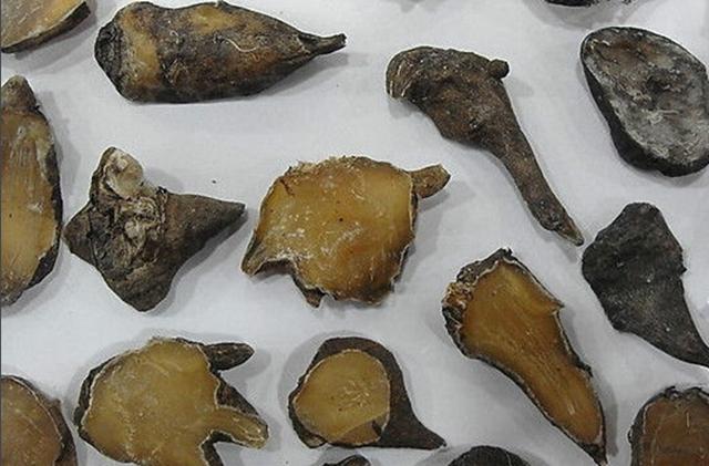 为什么一个简单腹泻，服用了附子理中丸后，会绵延十年不愈？