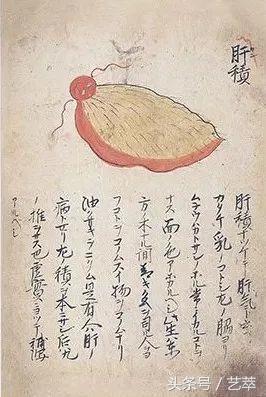 四百年前，日本人给寄生虫画了套漫画？！｜艺术画册