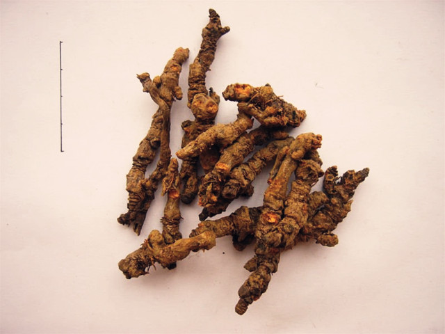 为什么一个简单腹泻，服用了附子理中丸后，会绵延十年不愈？