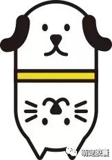 猫咪绝育有哪些检查一定要做,猫咪就诊都检查哪些项目