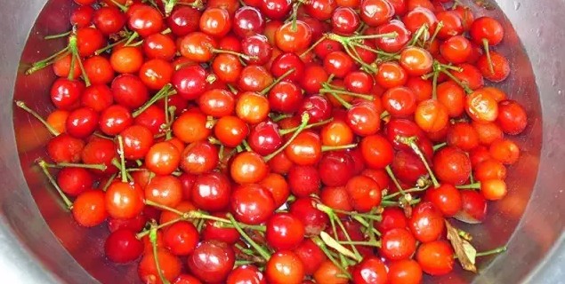 新买樱桃竟然生蛆虫!这样的樱桃还能吃吗?