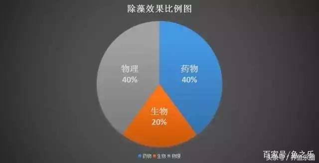 鱼缸丝藻用什么除藻液好用,鱼缸除藻最好方法