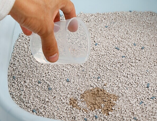 怎么给龙猫做尿布 (龙猫宝宝需要尿布吗)