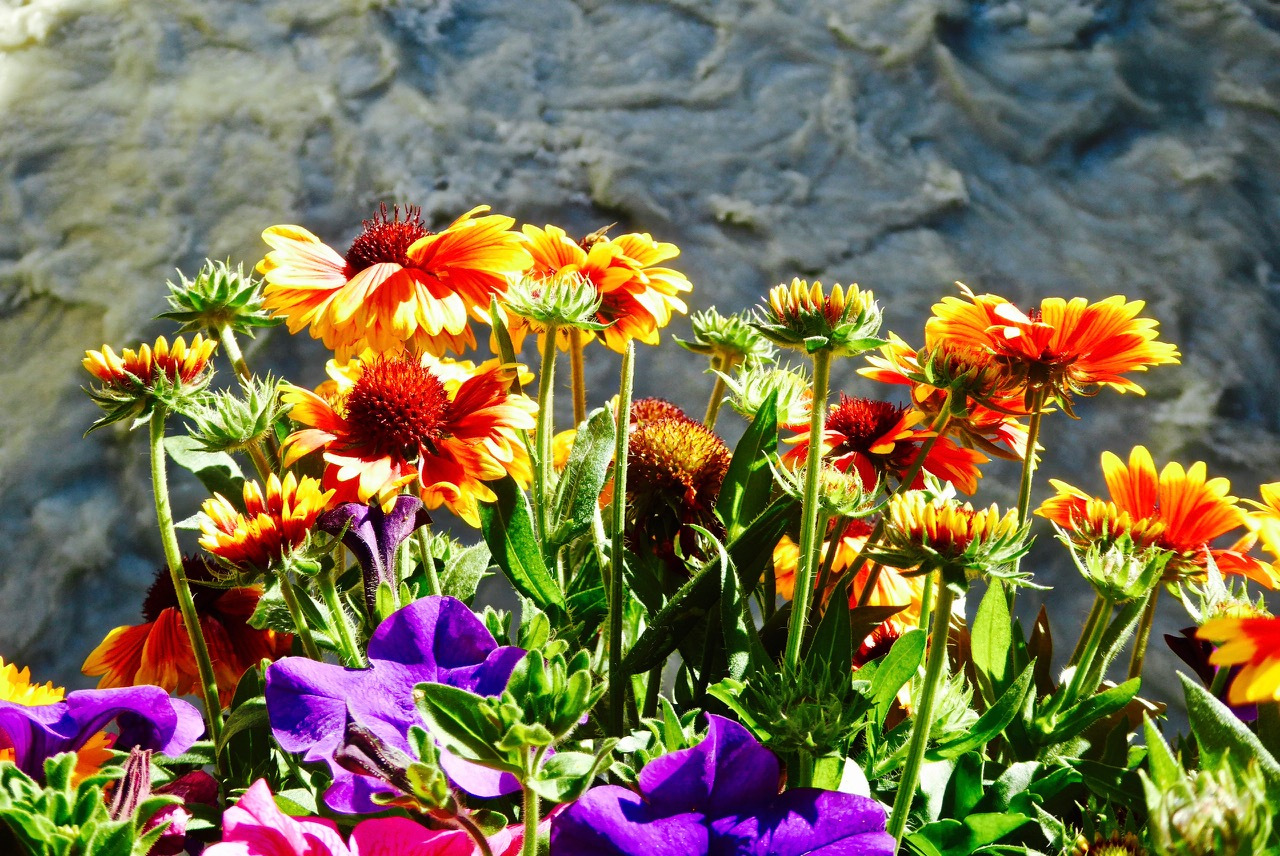 阿尔卑斯山十大旅游攻略,欧洲旅游天堂