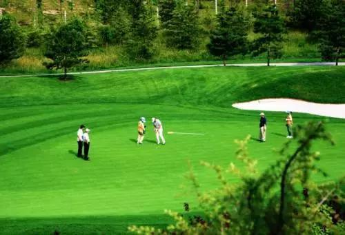 郑州周边好玩的地方免费进的门票,郑州海洋馆2022年门票免费时间