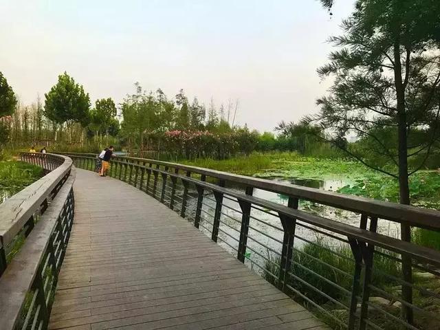 郑州周边好玩的地方免费进的门票,郑州海洋馆2022年门票免费时间