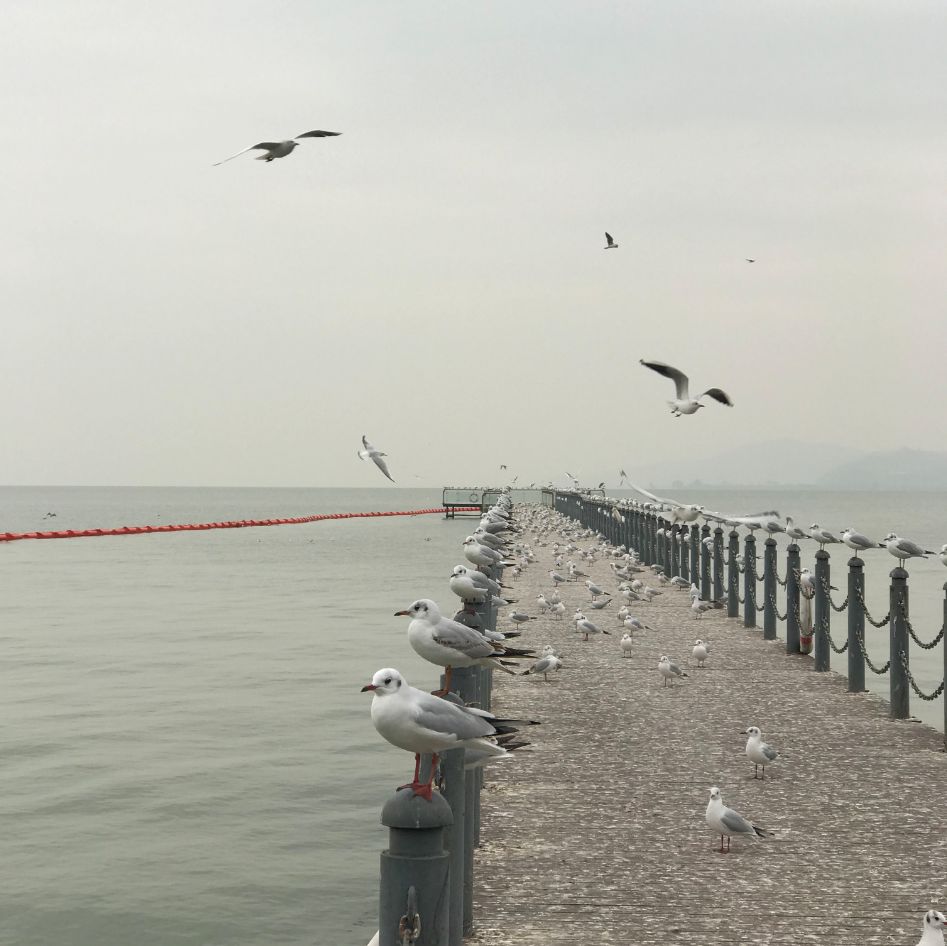 论摄影后期的重要性,摄影后期处理的作用