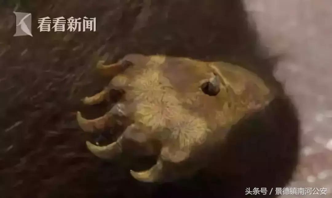 朋友圈里卖低价服装的真相,代购骗局揭秘朋友圈