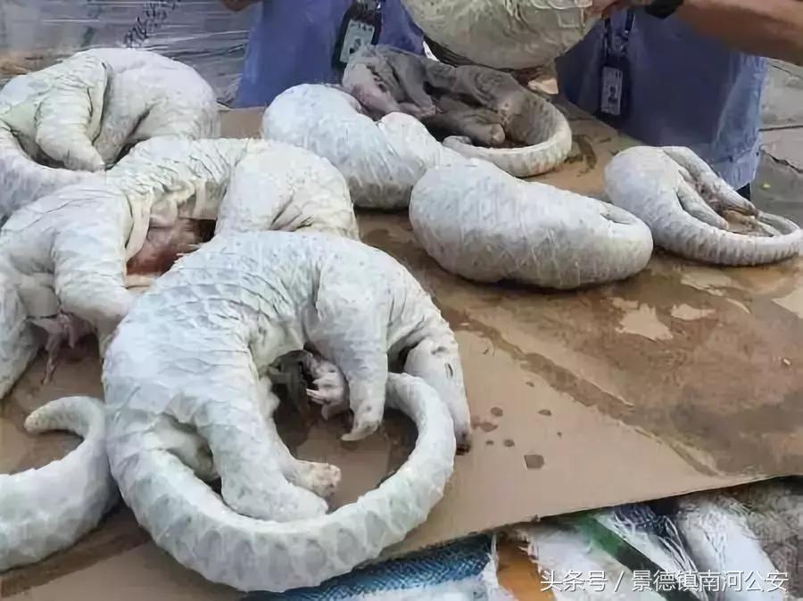 朋友圈里卖低价服装的真相,代购骗局揭秘朋友圈