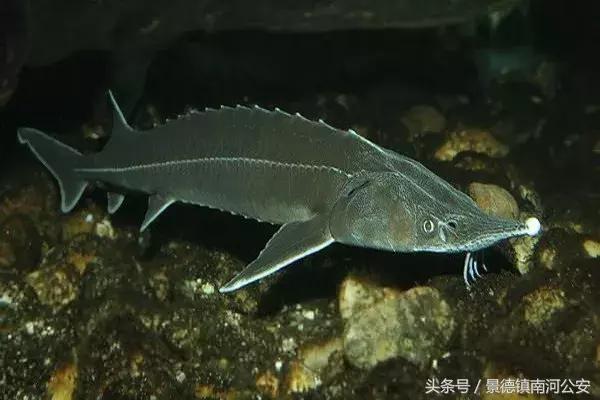 朋友圈里卖低价服装的真相,代购骗局揭秘朋友圈