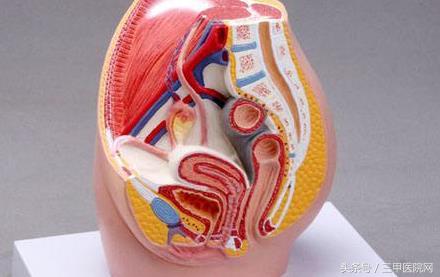 盆腔炎危害是什么,盆腔炎会不会宫外孕