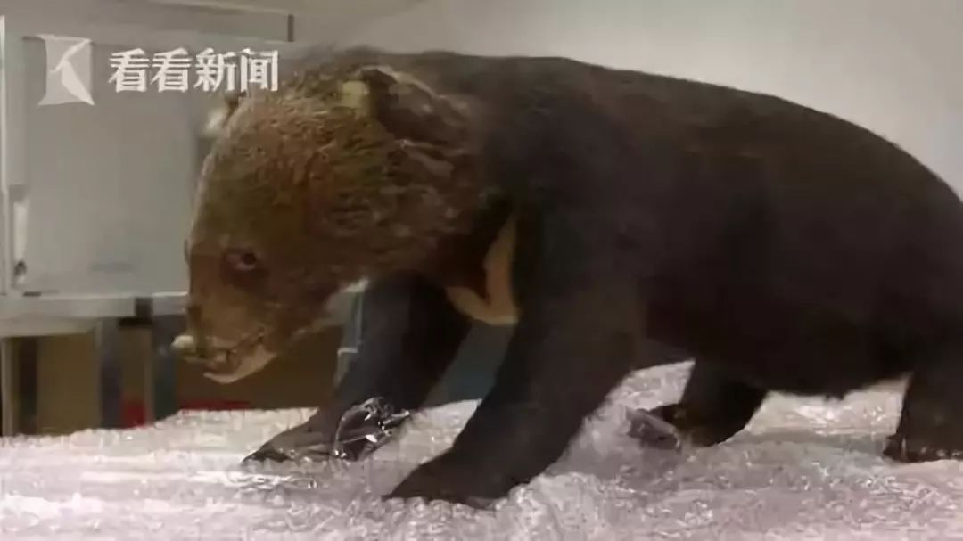 海外代购的荒唐陷阱,代购十大骗局揭秘图