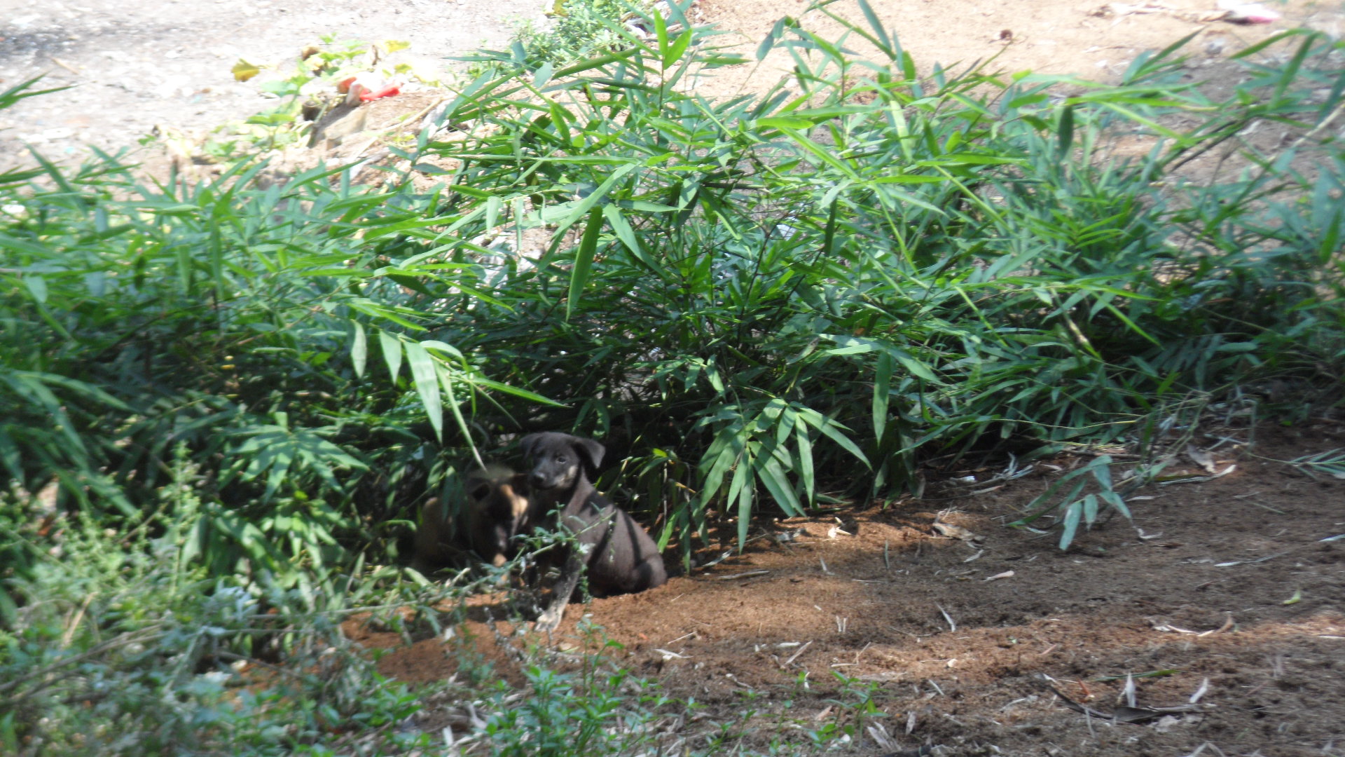 旅行日记徒步西藏,旅行十年笔记