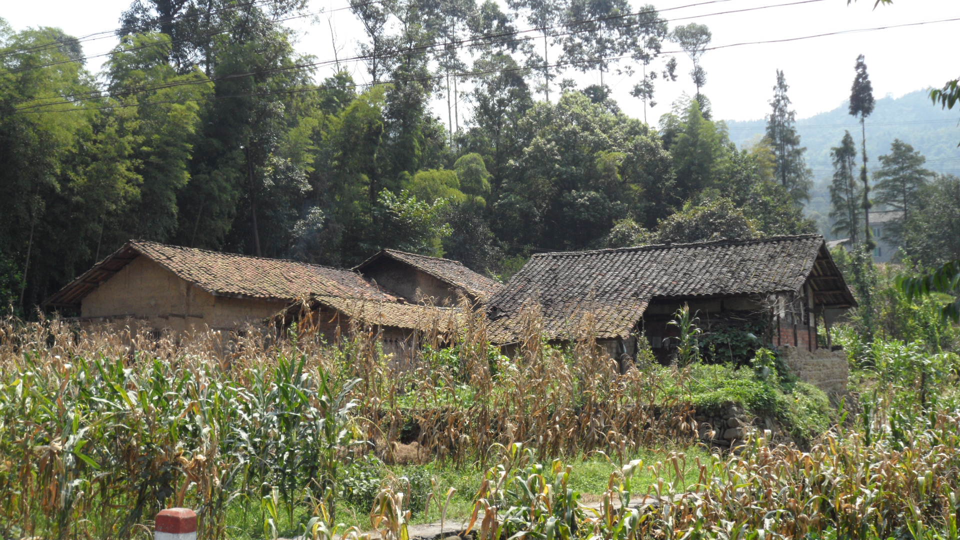 旅行日记徒步西藏,旅行十年笔记