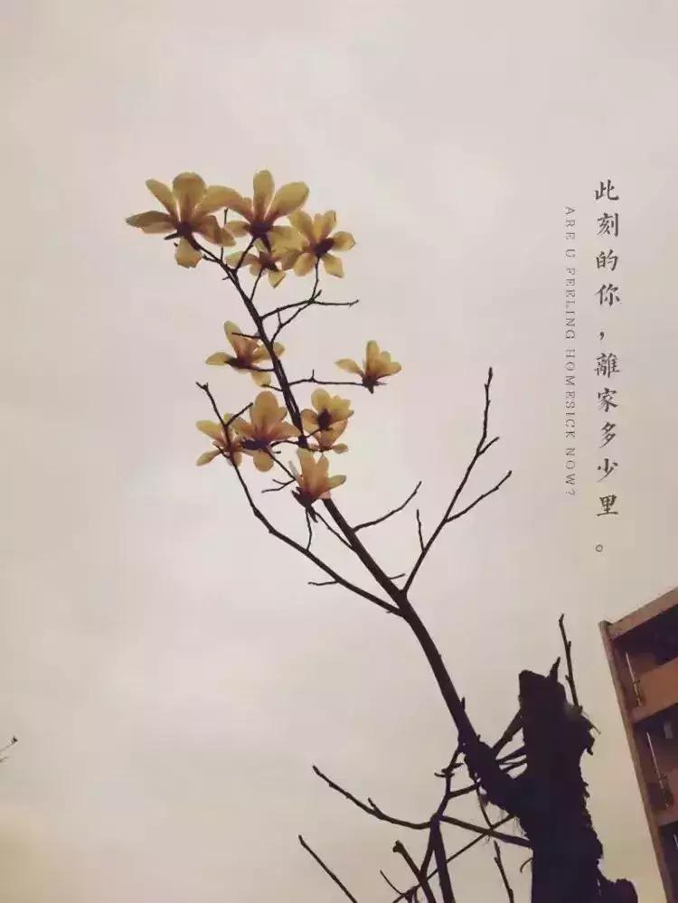 安庆师范大学在全国的排名，你知道吗