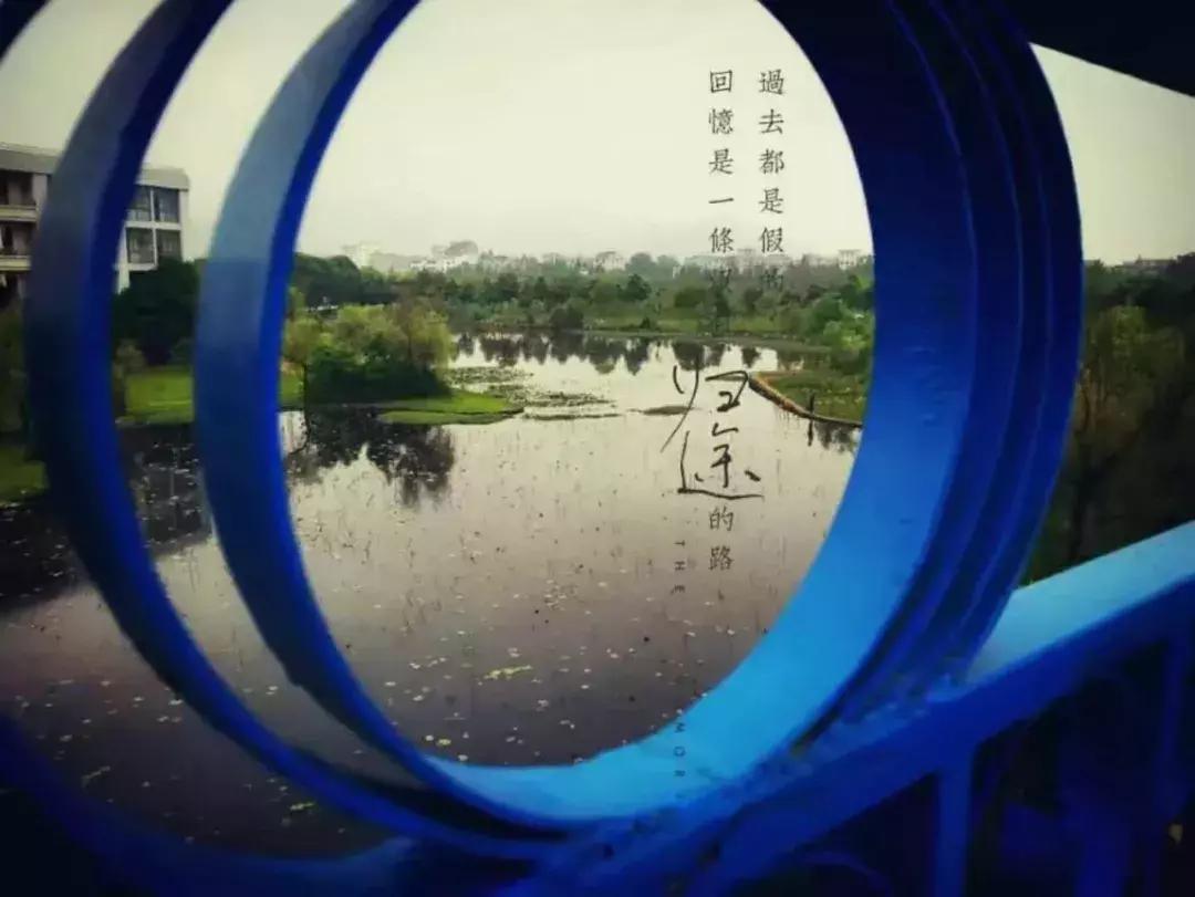 安庆师范大学在全国的排名，你知道吗