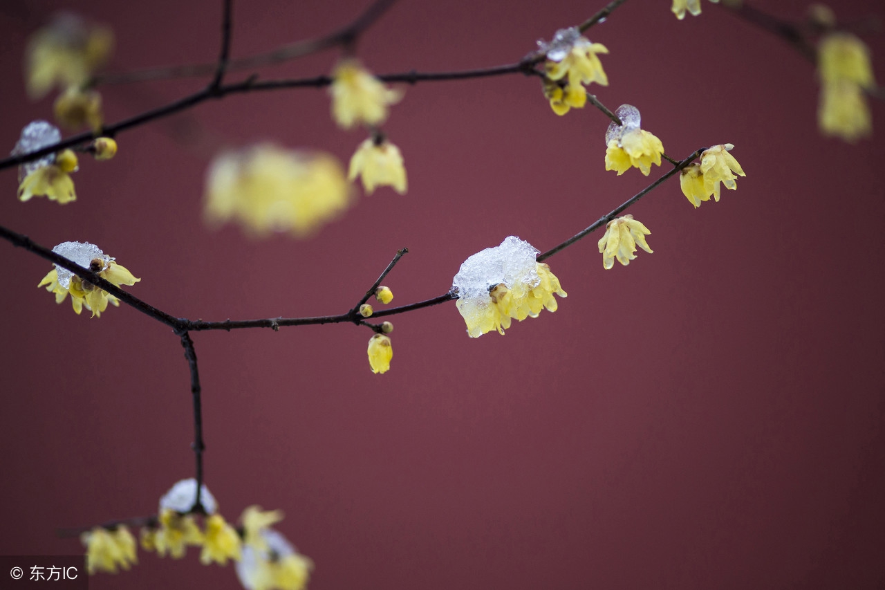 走多了脚筋痛,走多了脚累想多了心累