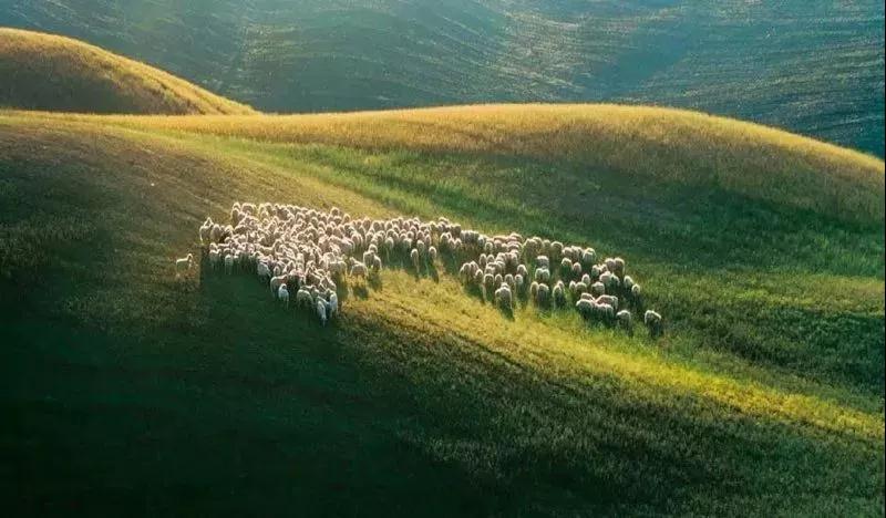 从西安出发，揭秘一个品牌改写城市的传奇故事！