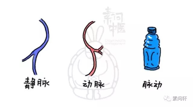 像蚯蚓一样的凸起的纹,像蚯蚓一样黑色的是什么